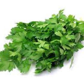 Continental  Parsley