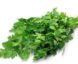 Continental  Parsley